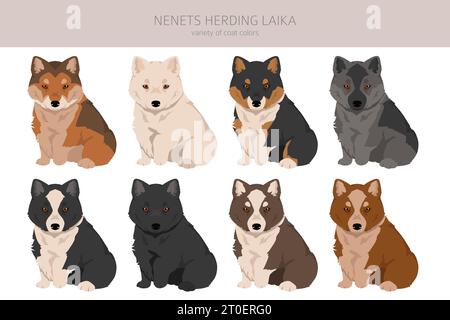 Nenzen hüten Laika Clipart. Alle Fellfarben eingestellt; Infografik zu den Merkmalen aller Hunderassen. Vektorabbildung Stock Vektor