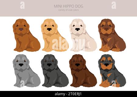 Mini-Hippo-Clipart. Shar Pei - Cocker Spaniel Mix. Verschiedene Beschichtungsfarben eingestellt. Vektorabbildung Stock Vektor