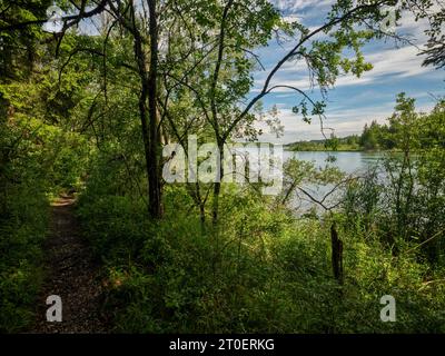 Lech kurz vor dem Reservoir an Sperrstall 19 Stockfoto