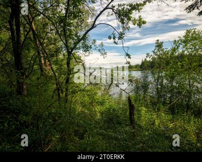 Lech kurz vor dem Reservoir an Sperrstall 19 Stockfoto