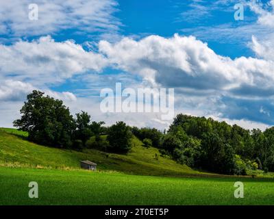 Moraine Hill bei Apfeldorf Stockfoto