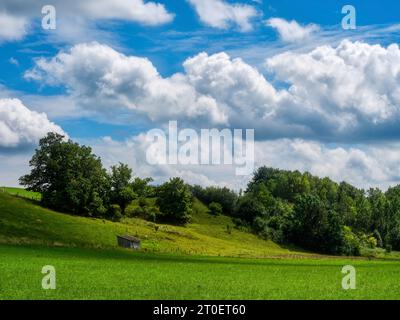 Moraine Hill bei Apfeldorf Stockfoto
