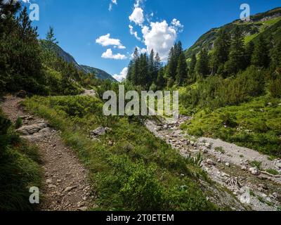 Auf dem Weg entlang des Vorarlberger Lech im Lechquellengebirge zwischen Formarinsee und dem Dorf Lech Stockfoto