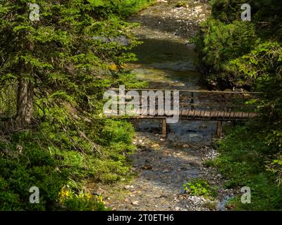 Wanderweg entlang des Spullerbachs oberhalb von Lech Stockfoto