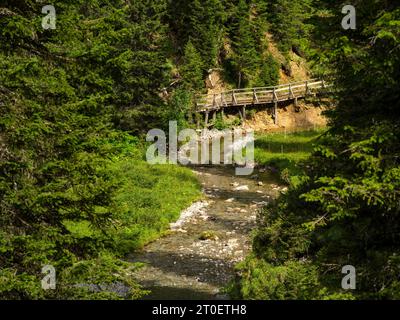 Wanderweg entlang des Spullerbachs oberhalb von Lech Stockfoto