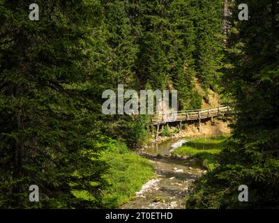 Wanderweg entlang des Spullerbachs oberhalb von Lech Stockfoto