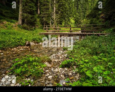 Wanderweg entlang des Spullerbachs oberhalb von Lech Stockfoto