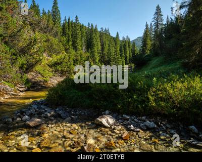 Wanderweg entlang des Spullerbachs oberhalb von Lech Stockfoto