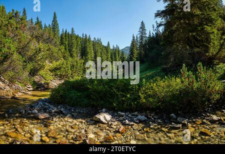 Wanderweg entlang des Spullerbachs oberhalb von Lech Stockfoto