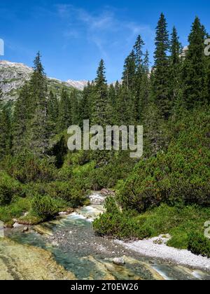 Wanderweg entlang des Spullerbachs oberhalb von Lech Stockfoto