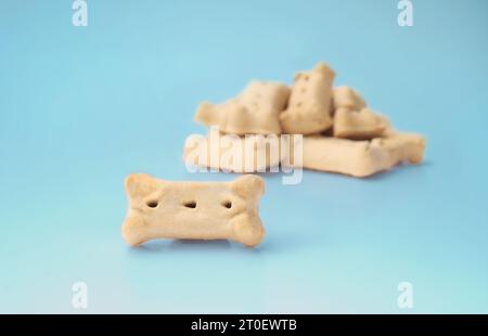 Hundemilch-Knochen-Kekse auf blauem Hintergrund. Ein Hundekeks und ein Haufen defokussierter Snacks in Form von Hundeknochen. Hundegeschenke für das Gehorsamstraining. Hergestellt aus Stockfoto