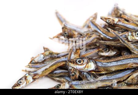 Haufen getrockneter Sardinen für Hunde und Katzen als Leckerbissen. Viele dehydrierte Fische in verschiedenen Größen. Gesunde Hunde Snack oder Nahrungsergänzung reich an Protein, Stockfoto