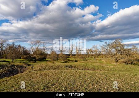 Abendliche Atmosphäre im Naturschutzgebiet Sulzheimer Gipshügel, Bezirk Schweinfurt, Niederfrankreich, Bayern Stockfoto