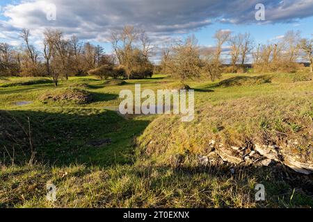 Abendliche Atmosphäre im Naturschutzgebiet Sulzheimer Gipshügel, Bezirk Schweinfurt, Niederfrankreich, Bayern Stockfoto