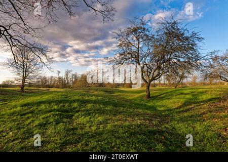 Abendliche Atmosphäre im Naturschutzgebiet Sulzheimer Gipshügel, Bezirk Schweinfurt, Niederfrankreich, Bayern Stockfoto