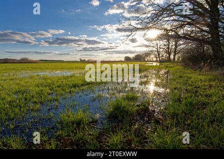 Abendliche Atmosphäre im Naturschutzgebiet Sulzheimer Gipshügel, Bezirk Schweinfurt, Niederfrankreich, Bayern Stockfoto