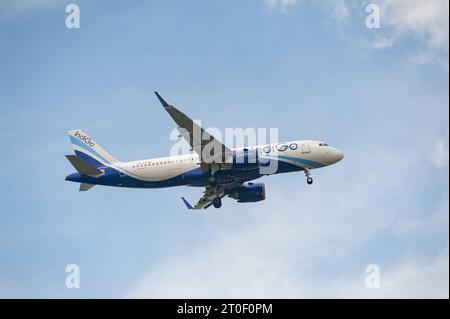 Singapur, Republik Singapur, Asien - ein Passagierflugzeug der Indigo Airines vom Typ Airbus A320 Neo mit der Registrierung VT, USA. Juli 2023. IIE im Landeanflug auf den internationalen Flughafen Changi. Indigo ist eine indische Billigfluggesellschaft mit Sitz in Neu-Delhi. *** 15 07 2023, Singapur, Republik Singapur, Asien an Indigo Airines Airbus A320 Neo Passagierflugzeug mit Registrierung VT IIE auf dem Anflug zum internationalen Flughafen Changi Indigo ist eine indische Billigfluggesellschaft mit Sitz in Neu-Delhi Credit: Imago/Alamy Live News Stockfoto