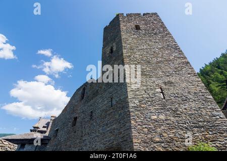 Ramingstein, Schloss Finstergrün in Lungau, Salzburg, Österreich Stockfoto