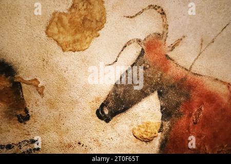 Prähistorischer Ochse in Lascaux-Höhlen dargestellt Stockfoto