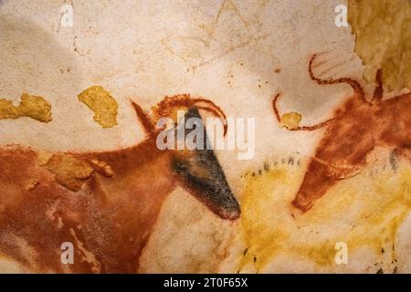 Prähistorische Ochsen in Lascaux-Höhlen dargestellt Stockfoto