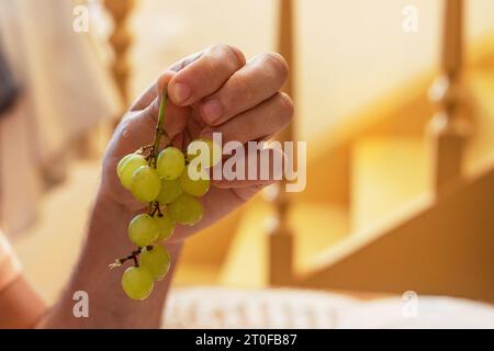 Die Hand des Mannes hält einen Haufen grüner Trauben, die kish Mish im Inneren hat und isst Stockfoto