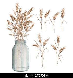 Clipart-Ähren aus Weizen in einem Glasvase-Glas. Satz der Herbsternte. Aquarellhandmalerei-Illustration auf isoliertem weißem Hintergrund. Für Design Stockfoto