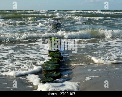 Strand von Ahrenshoop bei stürmischem Wetter und Sonnenschein. Hohe Wellen werden von Groynes durchbrochen. Stockfoto