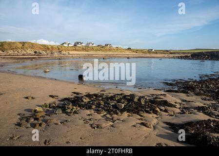 Wunderschöne Küste mit Sandstränden in der Nähe von Rhosneigr an der Westküste von Anglesey, Nordwales. Ein Border Collie Hund paddelt im Meer. Stockfoto