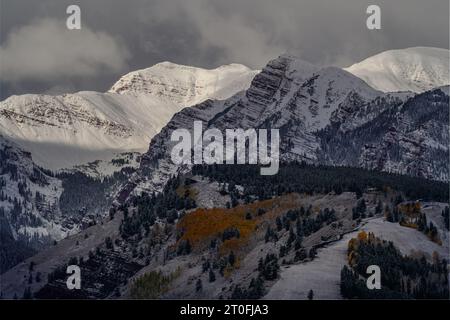 Erster Schnee an einem Herbstmorgen in Aspen, Colorado Stockfoto