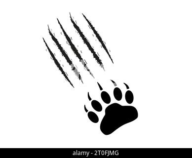 Bär- oder Grizzly-Paw-Aufdruck mit Kratzern. Klauenspuren, Schnitte, Wunden. Schwarze Silhouette auf weißem Hintergrund. Monster, Raubtier. Wildtierpfote mit Klaue Stock Vektor