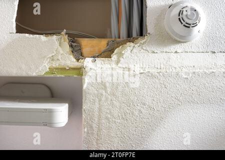 Decke mit Wasserschäden durch Wasserlecks. Aktive Untersuchung von Lecks an der Decke mit Löchern, die vom Klempner ausgeschnitten wurden, gelbe feuchte Feuchtigkeit, abgelöst von Trockenbauteilen Stockfoto