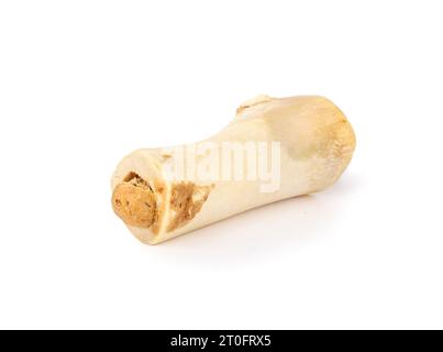 Isolierter gefüllter Rinderknochen für Hundespass und Glück. Langanhaltender mittelechter Rinderknochen. Für die Zahngesundheit, mentale Bereicherung für Hunde und pu Stockfoto