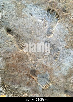White Sands NP, Vereinigte Staaten von Amerika. August 2023. Fossilized Ice Age menschliche Fußspuren in Gipsschlamm, der vor bis 21.000 Jahren 2023 im White Sands National Park in New Mexico, USA, geschätzt auf 23.000-21.000 Jahre, ausgehärtet wurde. Das Gebiet um das alte Seebad des Lake Otero ist der älteste direkte Beweis für menschliche Präsenz in Amerika. Credit: National Park Service/NPS/Alamy Live News Stockfoto