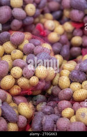 Bunte Petite-Kartoffeln in verschiedenen Farben Stockfoto