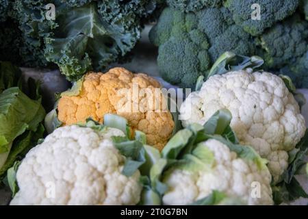 Charge ökologisch angebauter Blumenkohl Stockfoto