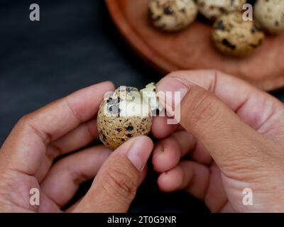 Die Schale eines gekochten Wachteleis von Hand auf einem Teller schälen Stockfoto