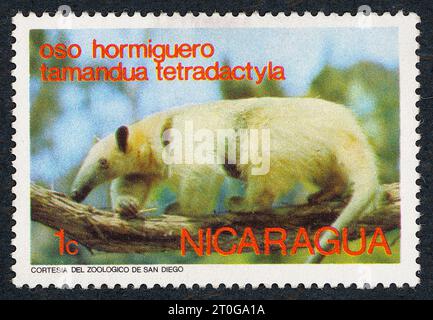 Die südliche Tamandua (Tamandua tetradactyla), auch als Kragen-Ameisenbär oder kleiner Ameisenbär bezeichnet. Briefmarke, ausgestellt 1974 in Nicaragua. Stockfoto