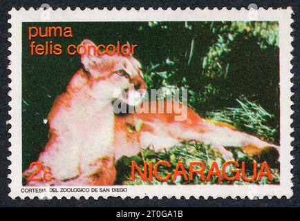 Cougar (Felis concolor). Briefmarke, ausgestellt 1974 in Nicaragua. Stockfoto