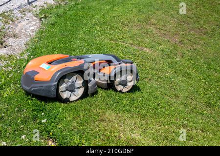 Roboter-Rasenmäher schneidet Rasen Stockfoto