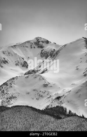 Schneebedeckte Bergsteiger in Colorado Stockfoto