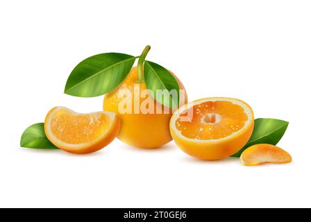 Realistische frische saftige Orangen mit Scheiben und grünen Blättern vor weißem Hintergrund Vektor Illustration Stock Vektor