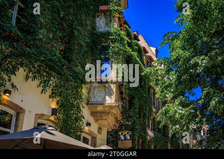 Ivy-bedeckte Mauer eines kunstvollen traditionellen Fachwerkhauses in der Altstadt von Grande Ile, dem historischen Zentrum von Straßburg, Elsass, Frankreich Stockfoto