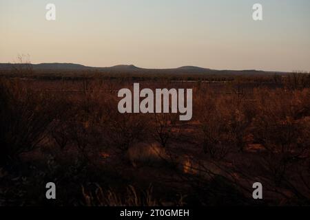 Wüstenlandschaft in der Abenddämmerung, niedrige Buschwälder, roter Sand und lange Schatten, niedrige hügelige Hügel Uluru National Park, Northern Territory, Zentralaustralien Stockfoto