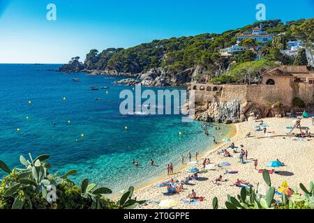 Das ursprüngliche Fischerdorf Calella de Palafrugell mit seinen Sandbuchten und Stränden an der Costa Brava, Girona, Spanien Stockfoto