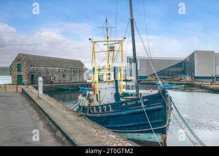 Arts Centre Mareel im Fish Market District von Lerwick, Shetlands. Stockfoto