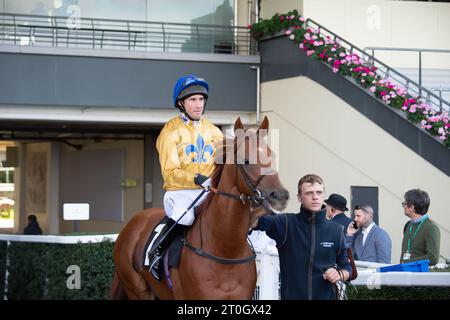 Ascot, Berkshire, Großbritannien. Oktober 2023. Horse Two, der vom Jockey James Harding geritten wird, macht sich am Herbst-Freitag auf die Rennstrecke für die Vollblut Industry Employee Awards Amateur Jockeys’ Handicap Stakes auf der Ascot Racecourse auf. Besitzer Berkeley Racing. Trainer Jonathan Portman, Upper Lambourn. Züchterin Miss S von Schilcher. Sponsor Pump Technology Ltd Quelle: Maureen McLean/Alamy Live News Stockfoto