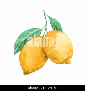 Ein hängender Ast mit zwei Zitronen. Exotische Sommerfrüchte im Provence-Stil. Gelbe Zitrusfrüchte. Aquarellabbildung. Stockfoto