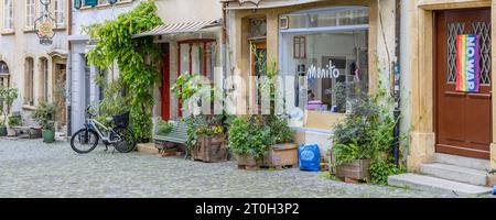Burgdorf, Schweiz - 16. Mai 2023: Altstadt mit Blumentöpfen und Kletterpflanzen im Dorf Burgdorf, Kanton Bern in der Schweiz bei bewölktem Tag Stockfoto