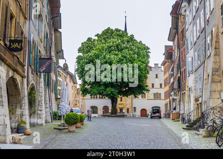 Burgdorf, Schweiz - 16. Mai 2023: Großer Kastanienbaum in der Altstadt von Burgdorf, Kanton Bern in der Schweiz bei bewölktem Tag Stockfoto