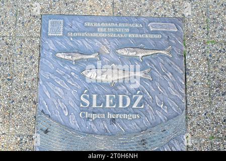 Ustka, Polen. August 2023 Stockfoto